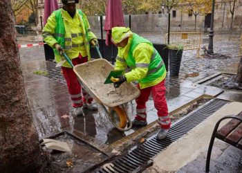5 años de cotización por prácticas no remuneradas